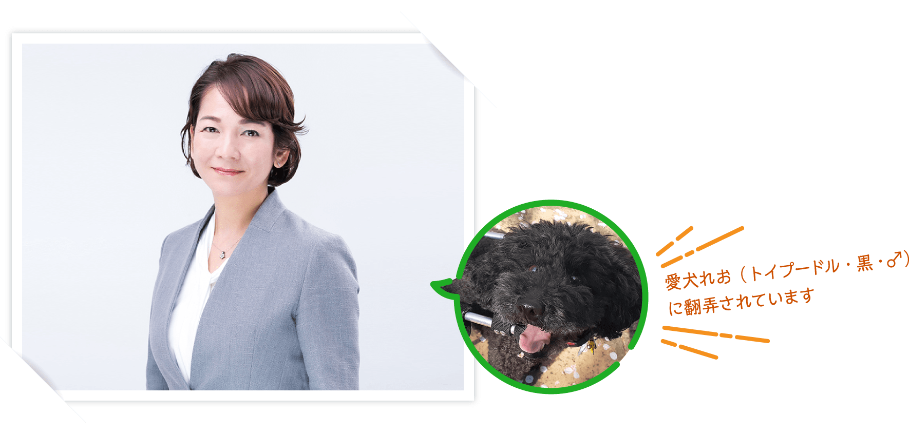 愛犬れお（トイプードル・黒・♂）に翻弄されています